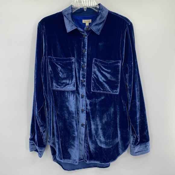 Anthropologie Pilcro Blue Velvet Button down long sleeve size S - Picture 4 of 12